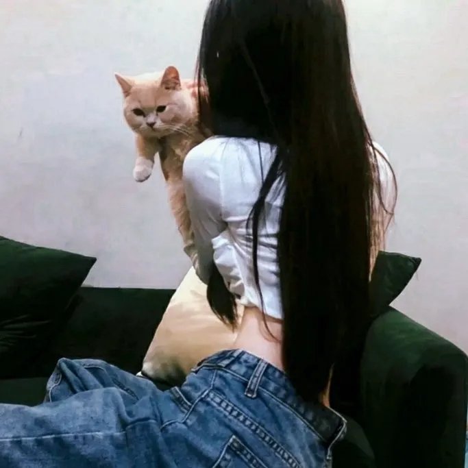 隐形红翼