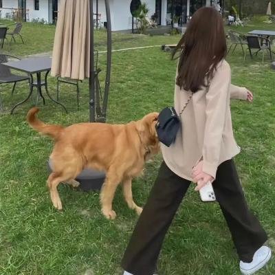 撒旦的奴隶2